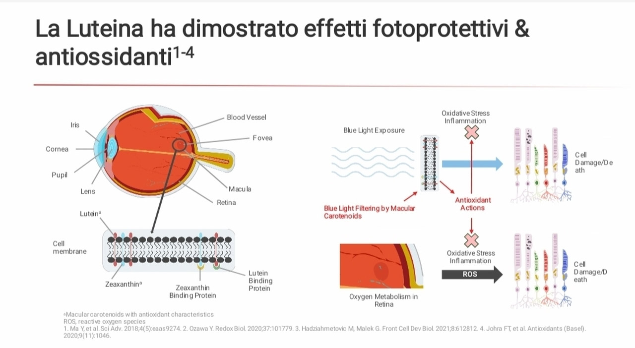 iontoforesi (3)